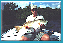 Sarasota fishing