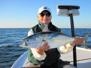 Frank Zaffino caught and released this Sarasota false albacore on a Grassett Snook Minnow fly